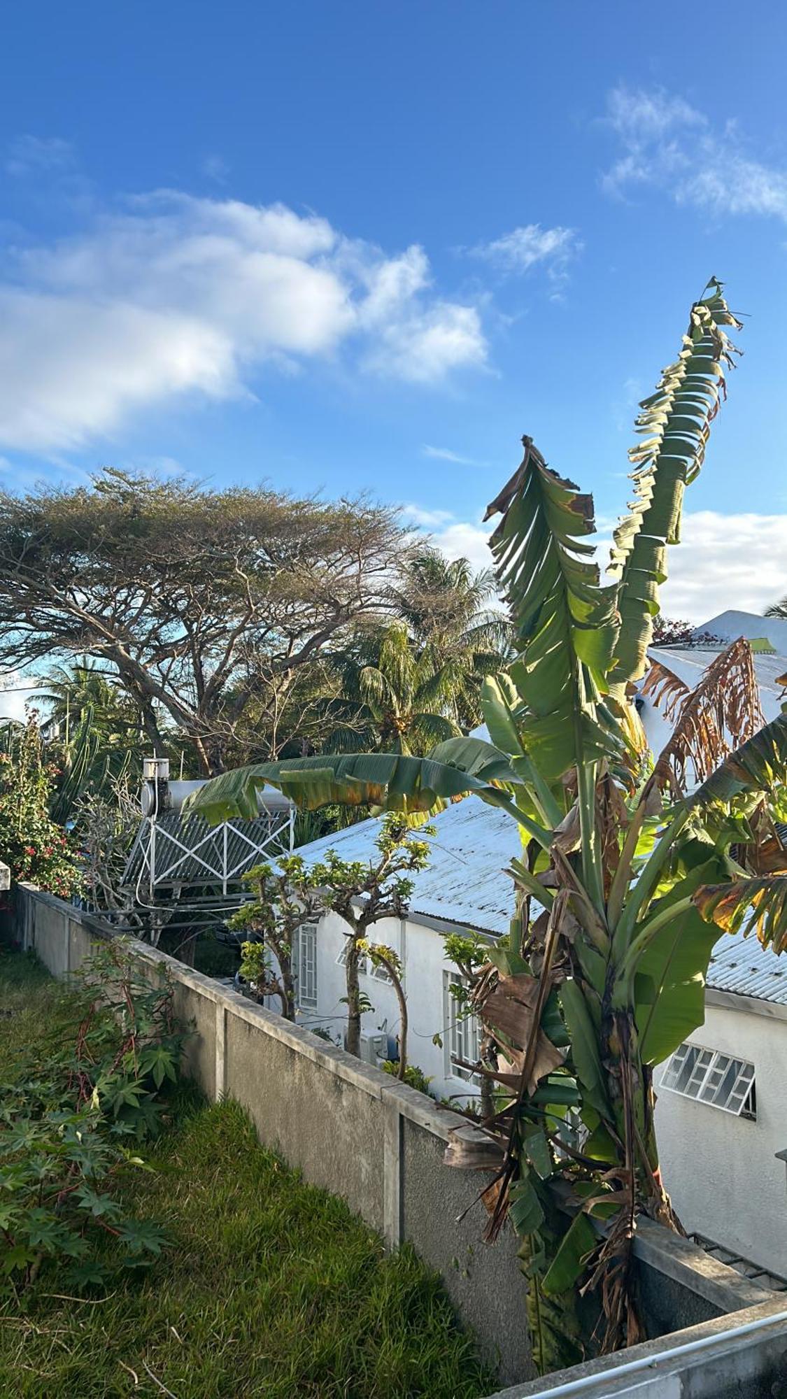 Coastal View Apartments Grand Baie Bagian luar foto